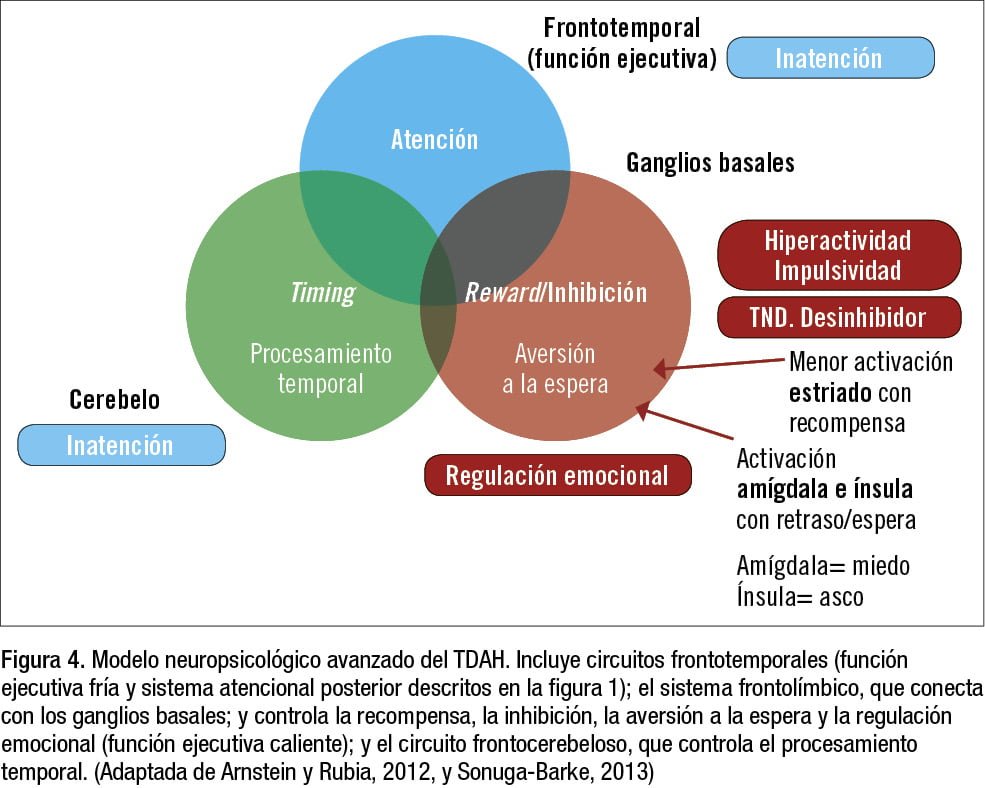 Impacto de la educación en la percepción de la hiperactividad 1 impacto de la educacion en la percepcion de la hiperactividad