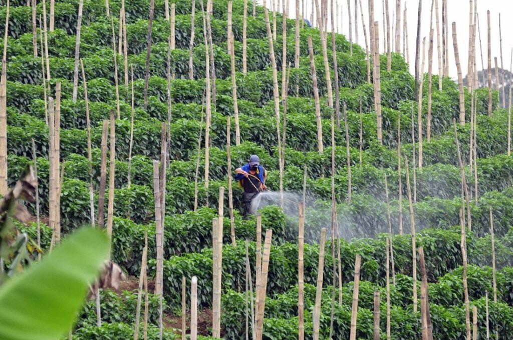 impacto de la exposicion quimica ambiental en las hormonas