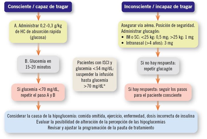 impacto de la hipoglucemia en el rendimiento escolar infantil