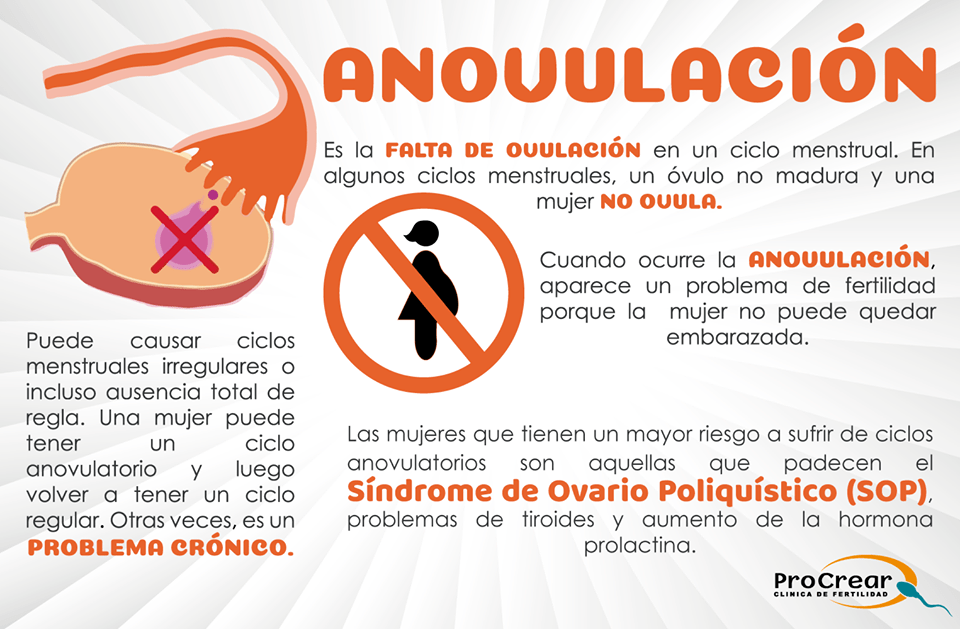 Impacto de la obesidad en la reproducción: Consecuencias y soluciones 1 impacto de la obesidad en la reproduccion consecuencias y soluciones