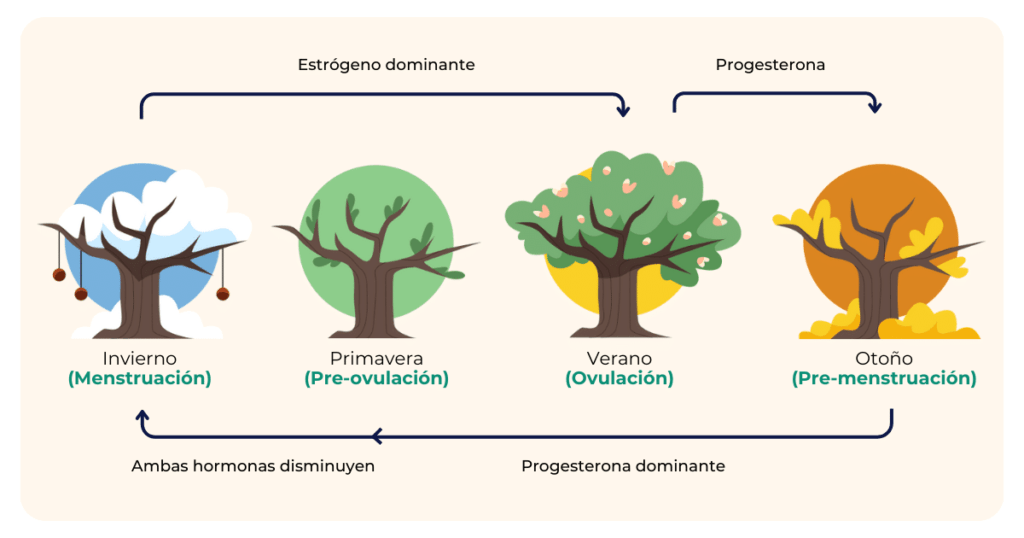 impacto de la progesterona en emociones analisis profundo