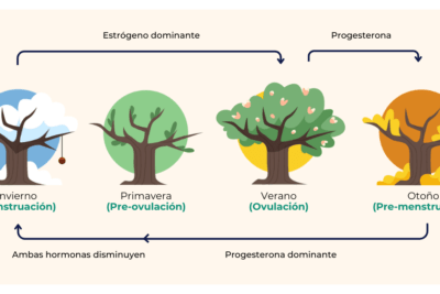 impacto de la progesterona en emociones analisis profundo