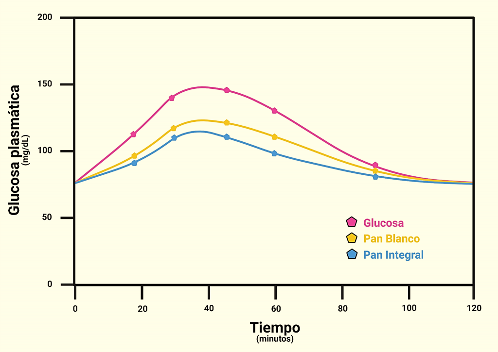 impacto de la temperatura en los niveles de glucosa en sangre