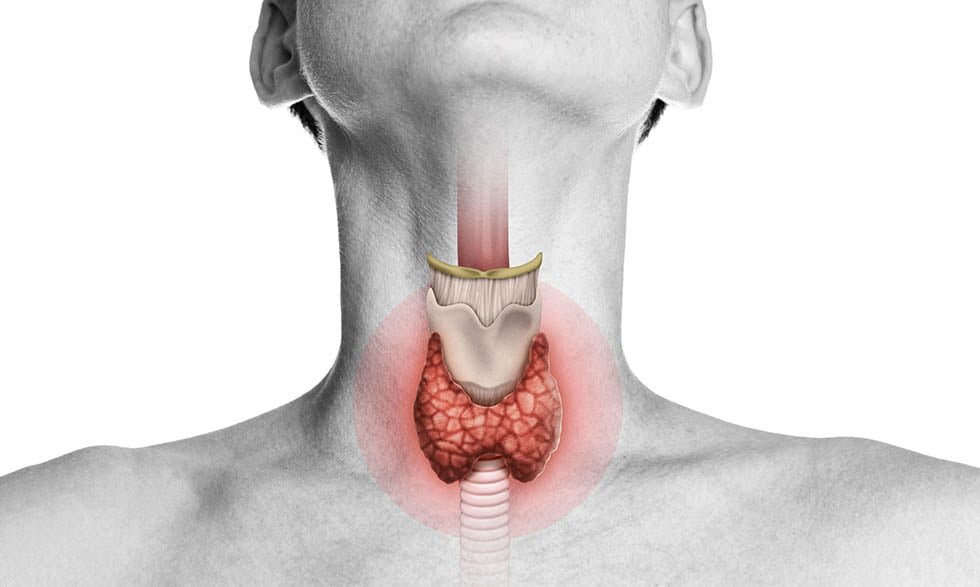Impacto de la tiroides en la salud: investigaciones actuales 1 impacto de la tiroides en la salud investigaciones actuales