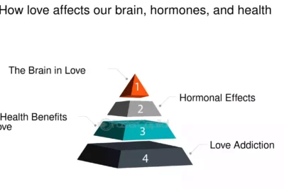 impacto de las hormonas en nuestras emociones exploracion profunda