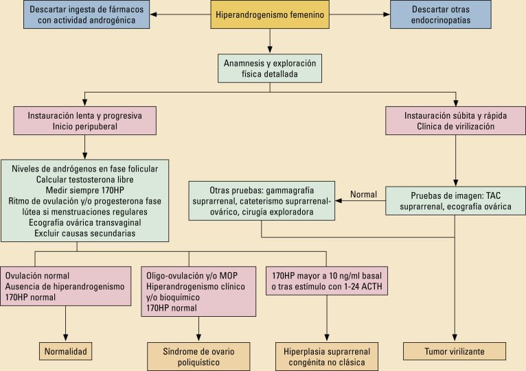 impacto de los androgenos en la fertilidad analisis detallado