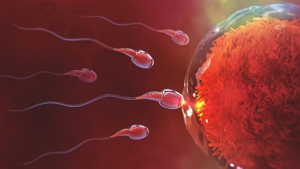 impacto de los cambios climaticos en el equilibrio hormonal