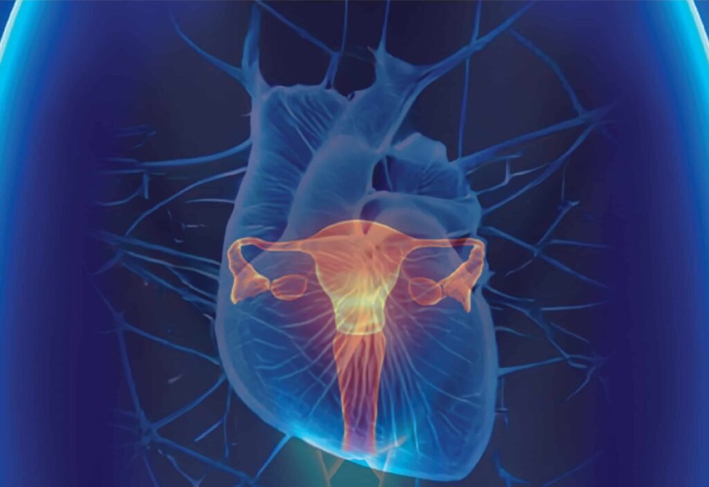 Impacto de los estrógenos en la salud a lo largo de la vida 1 impacto de los estrogenos en la salud a lo largo de la vida