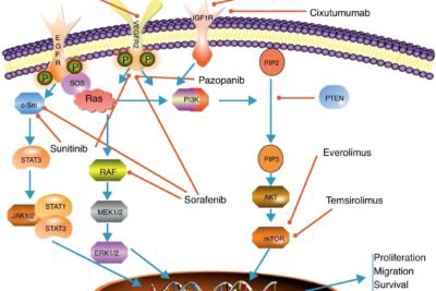 impacto de los tumores neuroendocrinos en la calidad de vida
