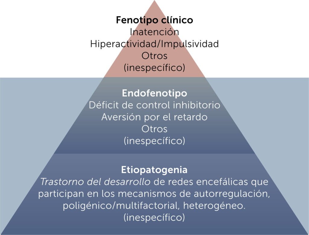 Impacto de redes sociales en la percepción de la hipoactividad 1 impacto de redes sociales en la percepcion de la hipoactividad