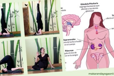 impacto de tecnicas de relajacion en las hormonas humanas