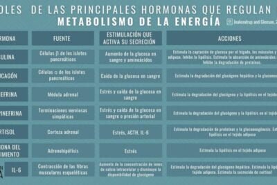 impacto del eje hormonal en la salud analisis profundo y detallado