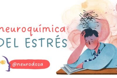 impacto del estres cronico en hormonas y salud general