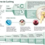 impacto del sindrome de cushing en el sistema inmunologico