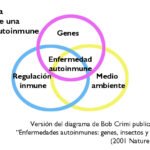 impactos de las enfermedades autoinmunes en familia y amigos