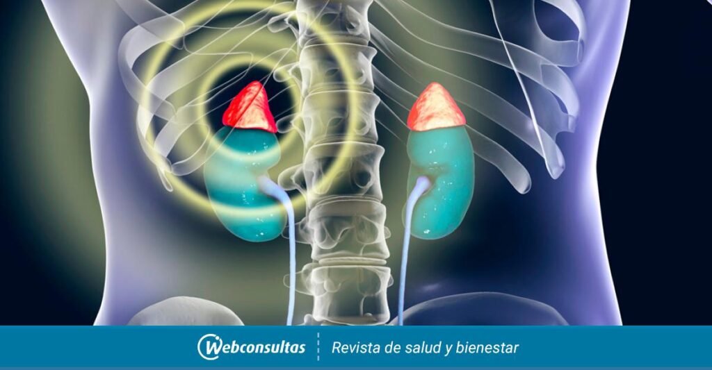 implicaciones endocrinas de la enfermedad de addison un analisis