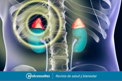 implicaciones endocrinas de la enfermedad de addison un analisis