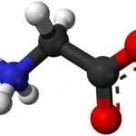 Importancia de la somatostatina en el cuerpo humano