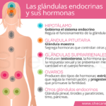 importancia de las consultas endocrinas en la salud hormonal