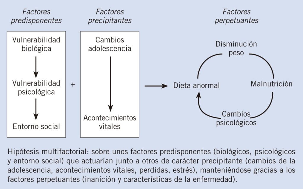 influencia de cambios hormonales en la hipoactividad adolescente