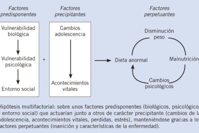 influencia de cambios hormonales en la hipoactividad adolescente