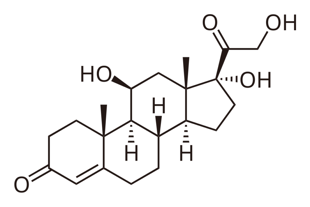 influencia de la genetica en los niveles de cortisol