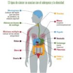 Influencia de la obesidad en el desarrollo y tipos de cáncer