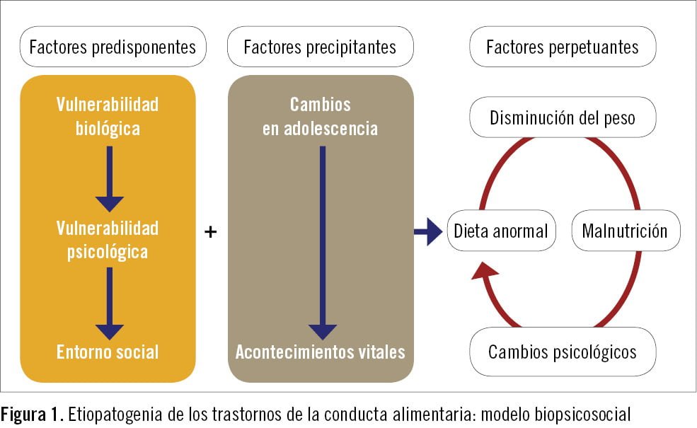 influencia de la tirotoxicosis en los habitos alimenticios