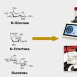 influencia de las estaciones del ano en los niveles de glucosa