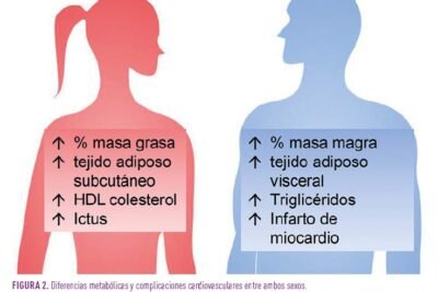 Influencia de los estrógenos en el desarrollo de la diabetes 1 influencia de los estrogenos en el desarrollo de la diabetes
