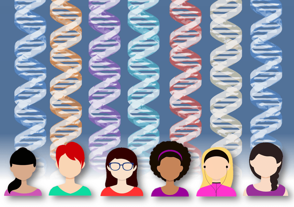 Influencia de los genes en la menopausia: Análisis detallado 1 influencia de los genes en la menopausia analisis detallado