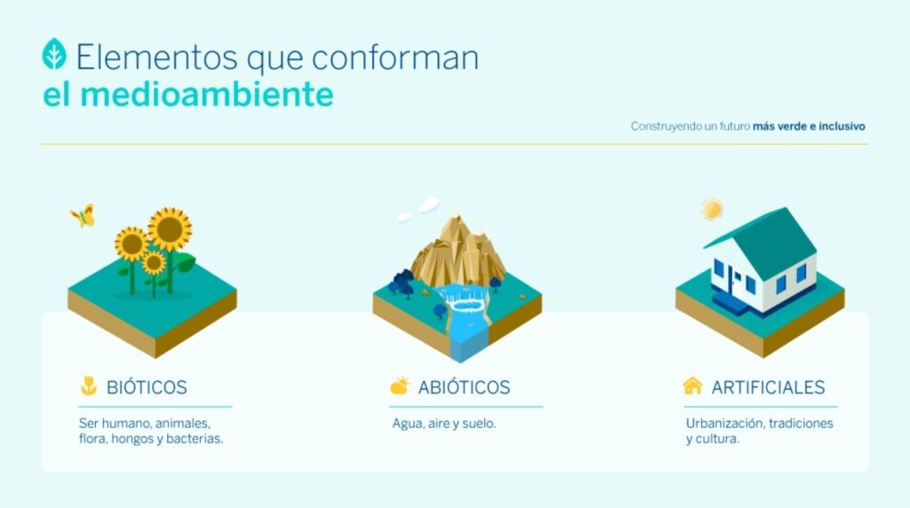 Influencia del ambiente en el crecimiento de los seres vivos 1 influencia del ambiente en el crecimiento de los seres vivos