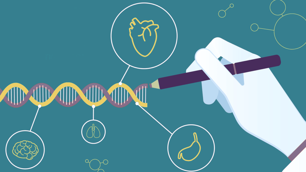 influencia genetica en el crecimiento y desarrollo fisico humano
