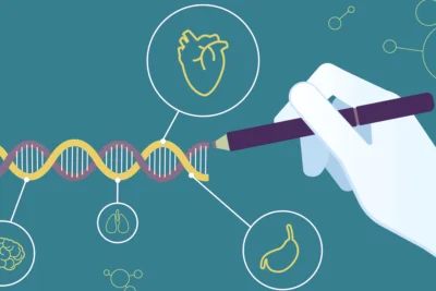 influencia genetica en el crecimiento y desarrollo fisico humano