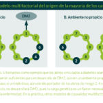 Influencia genética en el desarrollo de diabetes mellitus y tipos