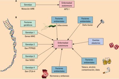 influencia genetica en el tratamiento de enfermedades autoinmunes