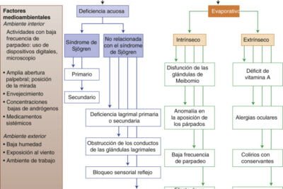influencia hormonal en la salud ocular analisis detallado