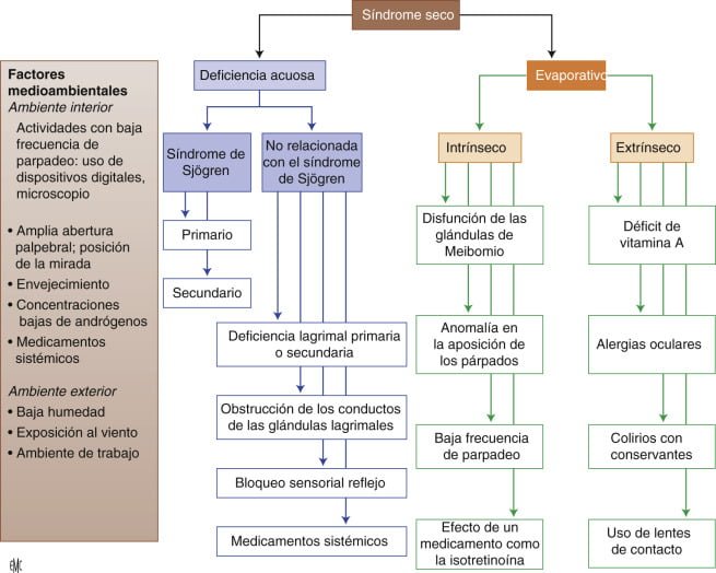 Influencia hormonal en la salud ocular: análisis detallado 1 influencia hormonal en la salud ocular analisis detallado