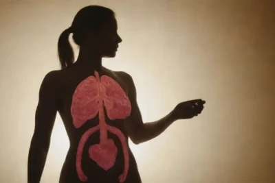 influencia hormonal en la salud osea efectos y aspectos clave