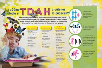 infografia sobre el diagnostico de la hiperactividad