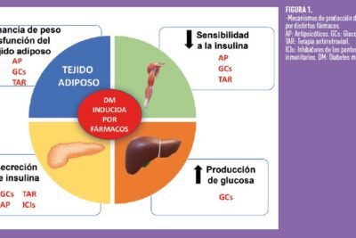 inhibidores de la insulina funcion y efectos en el cuerpo