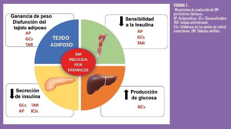 Inhibidores de la insulina: función y efectos en el cuerpo 1 inhibidores de la insulina funcion y efectos en el cuerpo