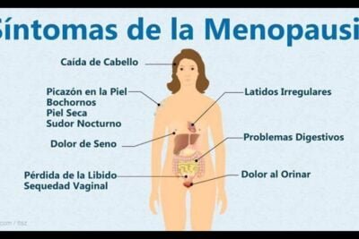 inicio y sintomas de la menopausia lo que debes saber