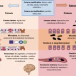 interaccion microbiota y metabolismo un analisis esencial