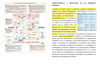 interacciones entre androgenos y hormonas tiroideas un analisis