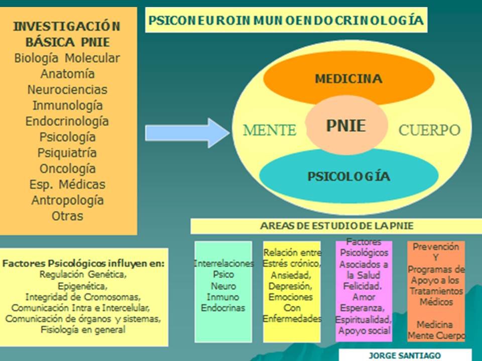 intervencion inmunologica en enfermedades neuroendocrinas