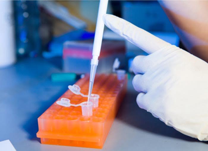 La congelación de óvulos: preservando la fertilidad femenina 1 la congelacion de ovulos preservando la fertilidad femenina