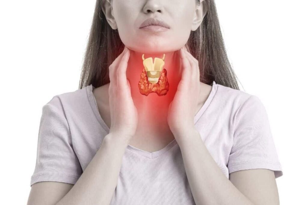 la funcion de la tiroides y su impacto en la salud humana
