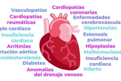 la hipertension puede causar enfermedades cardiacas