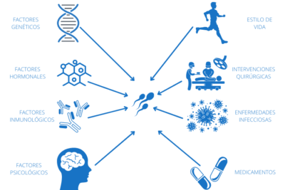 la importancia de la genetica en la fertilidad humana y su impacto
